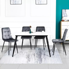 Modern Metal Dining Chairs H885mm