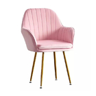 Antirust Pink Stainless Steel Frame Chairs 47cm Width Simple Dining Room Chairs